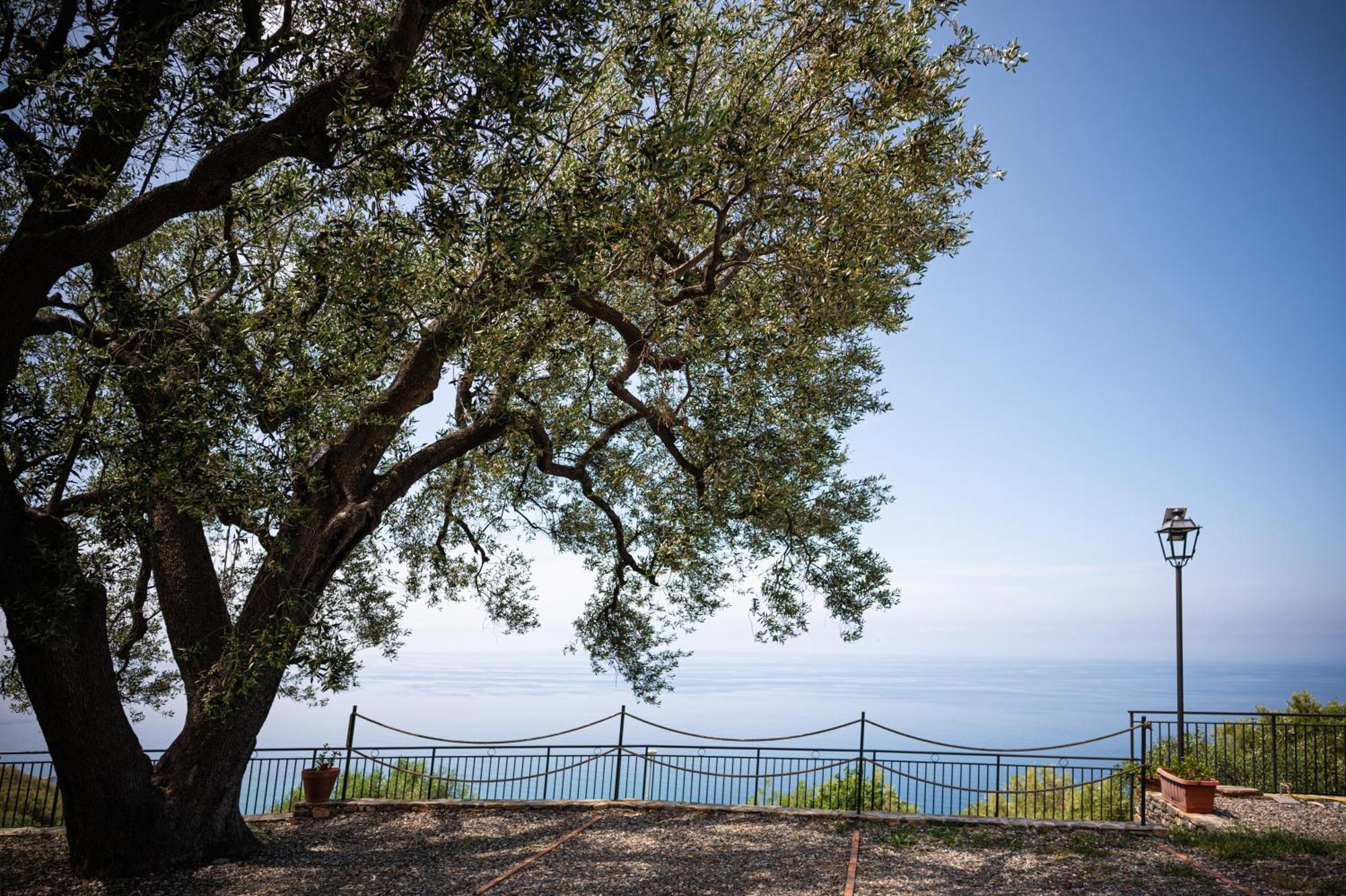 La Casa Del Maestro Attico Apartment Pisciotta Luaran gambar