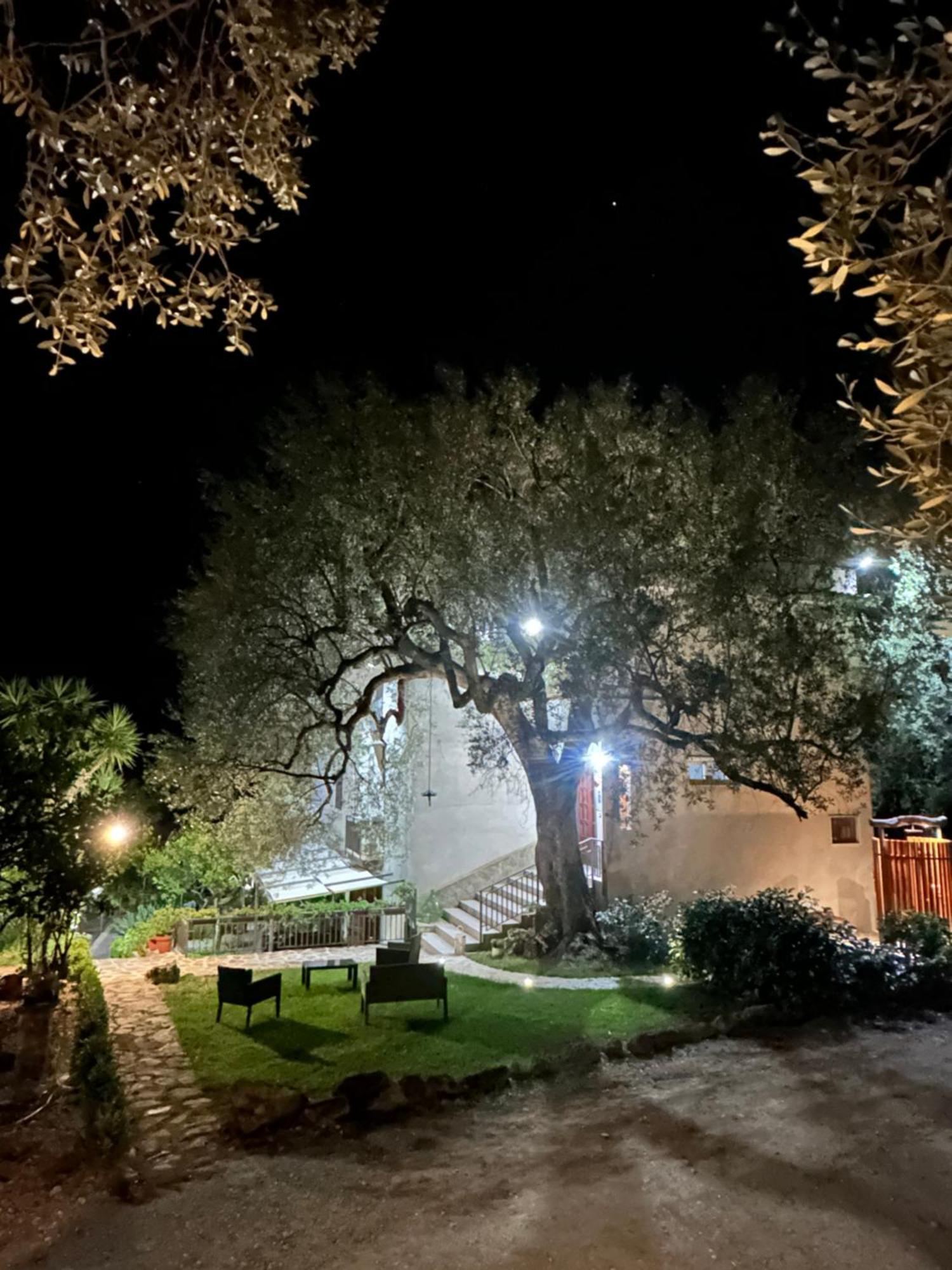 La Casa Del Maestro Attico Apartment Pisciotta Luaran gambar