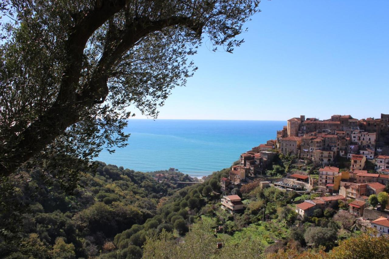 La Casa Del Maestro Attico Apartment Pisciotta Luaran gambar